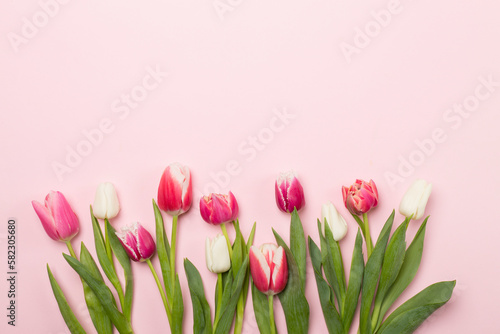 Bright tulips on color background, top view © Liami