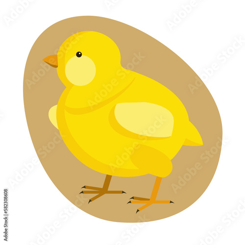 An image of a chicken in an egg on a white background. Vector drawing