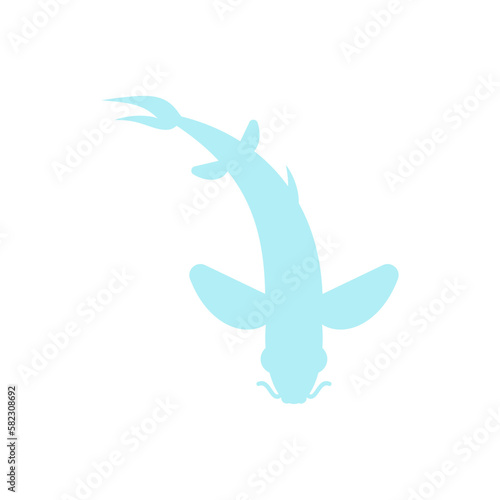 Chinese fish carp top view icon sign isolated. Vector illustration