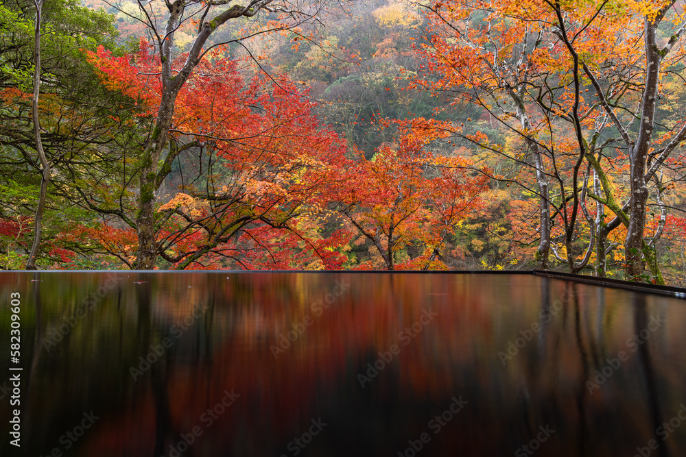 日本　京都府京都市の嵯峨嵐山にある祐斎亭の水鏡に映る紅葉