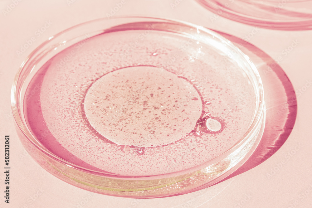 Petri dish. Petri's cup with liquid. Chemical elements, oil, cosmetics. Gel, water, molecules, viruses. Close-up. On a pink background. Petri dish. Petri's cup with liquid. Chemical elements, oil, cosmetics. Gel, water, molecules, viruses. Close-up. On a pink background.