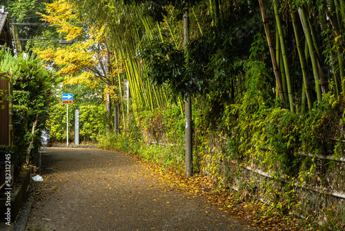 日本 京都府京都市の嵯峨嵐山にある嵯峨野線の竹林の小径