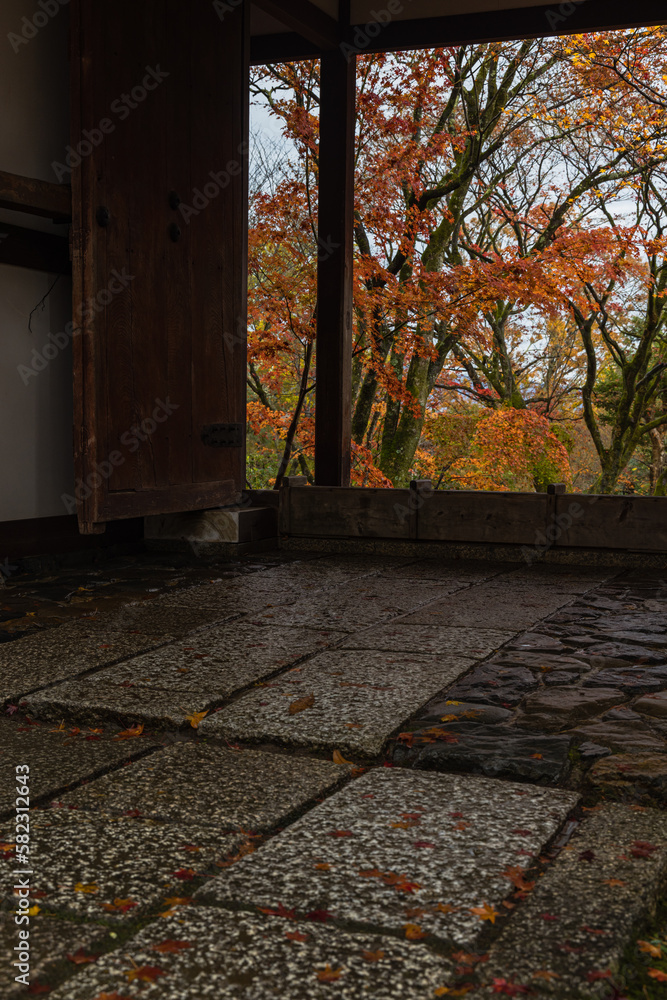 Obraz premium 日本 京都府京都市の嵯峨嵐山にある常寂光寺の仁王門と雨に濡れた紅葉
