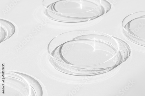 Petri dish. A set of Petri cups. On a white background. Laboratory half.