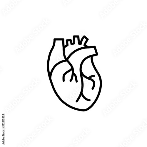 Human heart medical vector desease cardiovascular organ anatomy. Healthy human heart organ shape line icon.