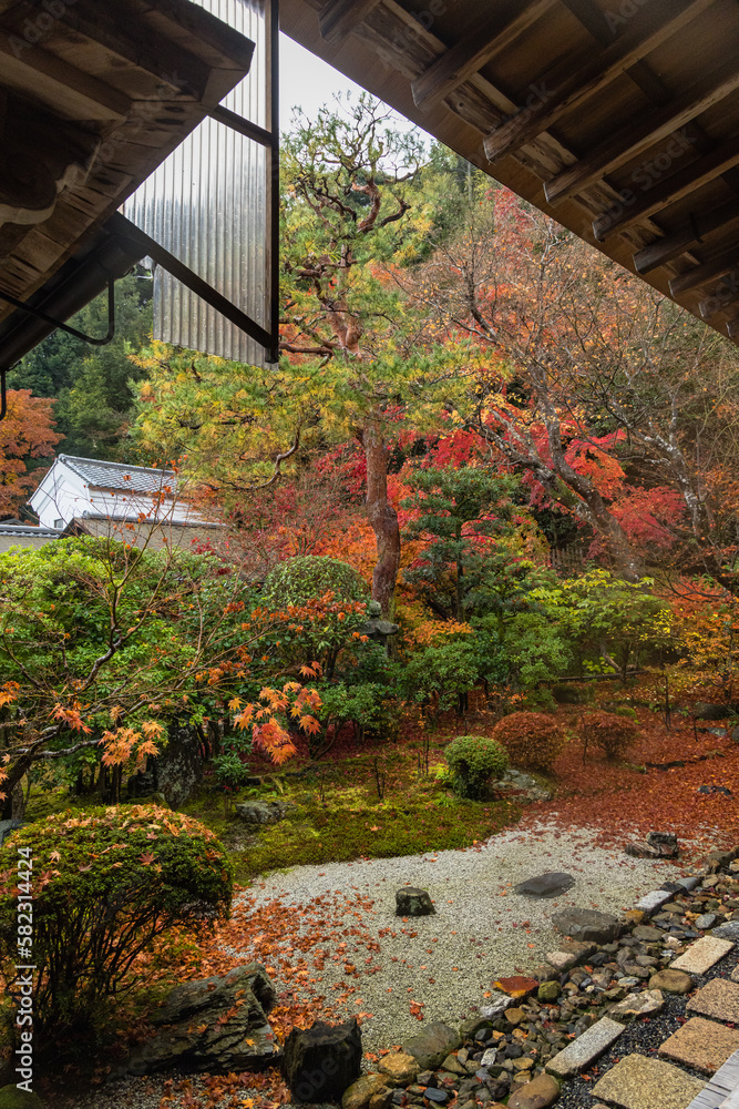 日本　京都府京都市の嵯峨嵐山にある二尊院の本堂から見える庭園と紅葉