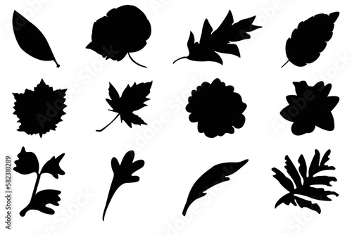 Set of leaves silhouettes. A set of leaf silhouette vector illustrations