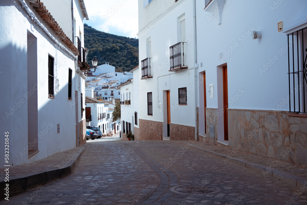 street in an old town in andalucia with white colored houses