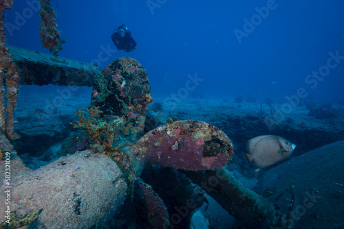 Diver explores the wreck of the Fuh Sheng dive site off the Dutch Caribbean island of Sint Maarten