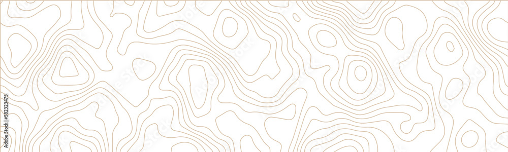 Topographic background and texture, monochrome image. 3D waves, White wave paper curved reliefs abstract background, Abstract topographic contours map background, Vector contour topographic map. Topographic background and texture, monochrome image. 3D waves, White wave paper curved reliefs abstract background, Abstract topographic contours map background, Vector contour topographic map.