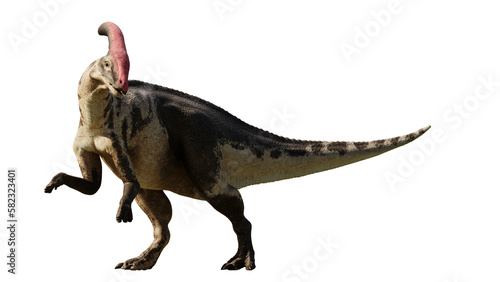 Parasaurolophus, ornithopod dinosaur from the Late Cretaceous Period isolated on transparent background photo