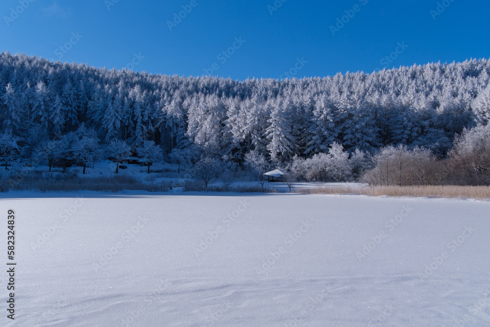 聖高原の冬景色