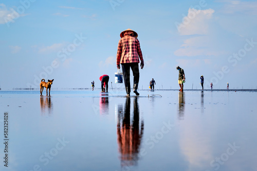 Tableau sur toile Fishermen harvest clams on the beach at low tide in Can Gio district, HCMC, Viet