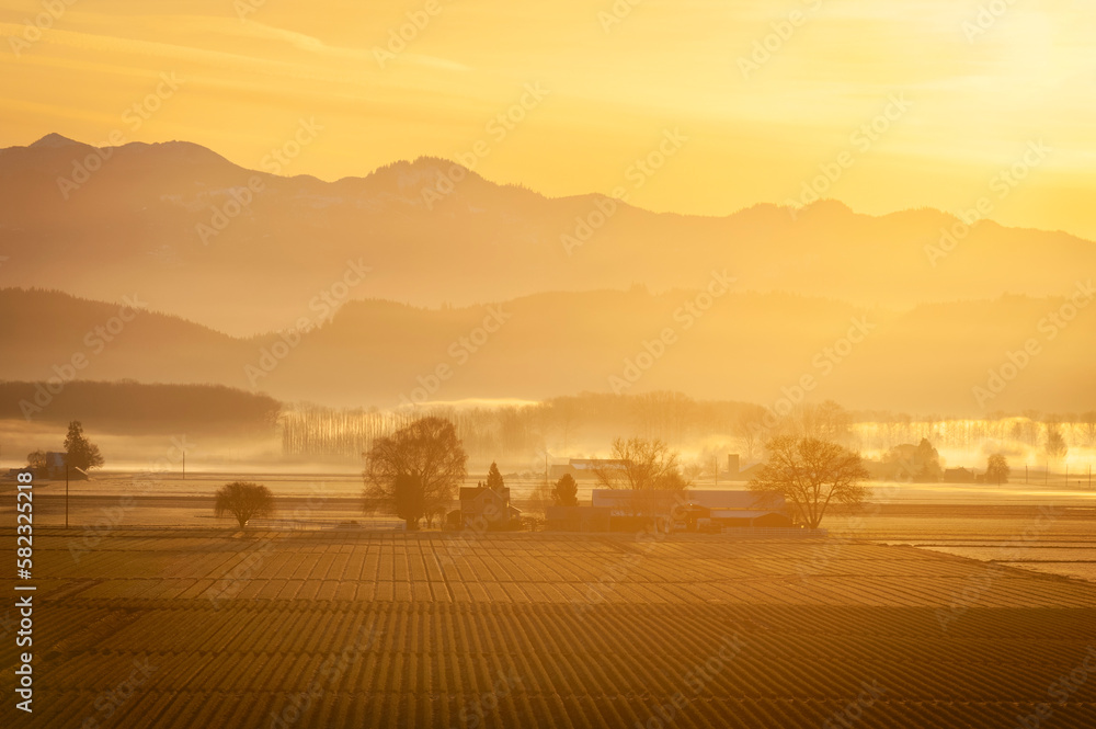 Springtime Sunrise in the Skagit Valley With the Cascade Mountains in the Background. A little ground fog adds to the atmosphere in this agricultural area of Washington state.
