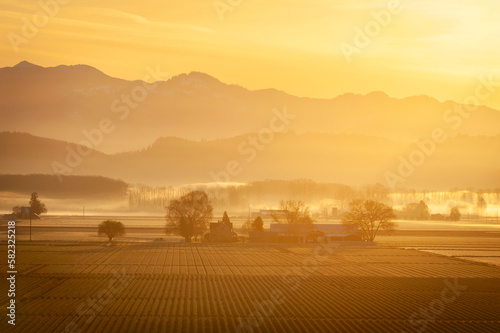 Springtime Sunrise in the Skagit Valley With the Cascade Mountains in the Background. A little ground fog adds to the atmosphere in this agricultural area of Washington state.