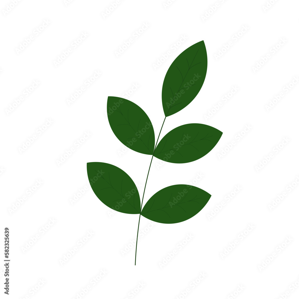 Tropical Leaf Element Tropical Leaf Element