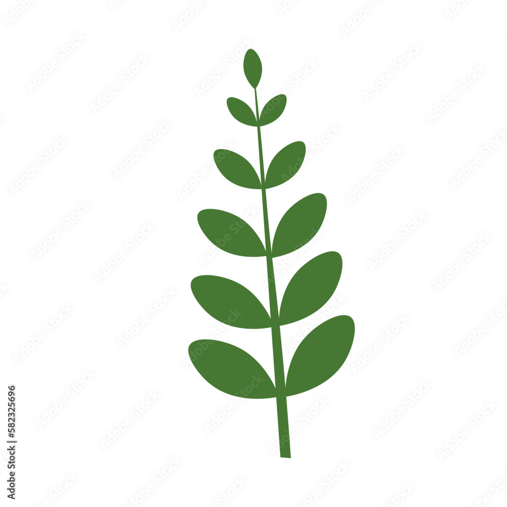 Fototapeta premium Tropical Leaf Element