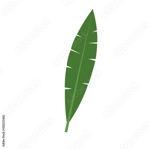 Tropical Leaf Element