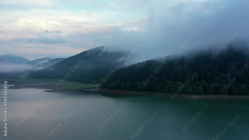 Forest with trees near a lake in the mountains aerial view Forest with trees near a lake in the mountains aerial view
