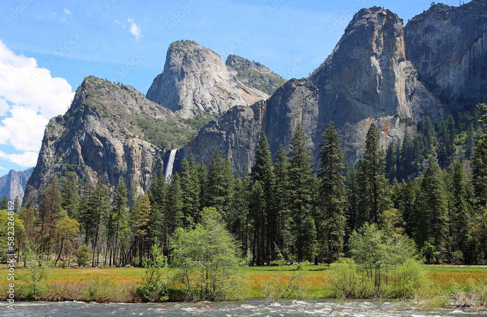 The meadow and forest in Yosemite Valley - Yosemite NP, California