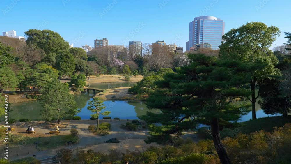 Gimbal shot of magnificent Japanese garden in downtown Tokyo. Traditional park in Japan with pine trees and pond Gimbal shot of magnificent Japanese garden in downtown Tokyo. Traditional park in Japan with pine trees and pond