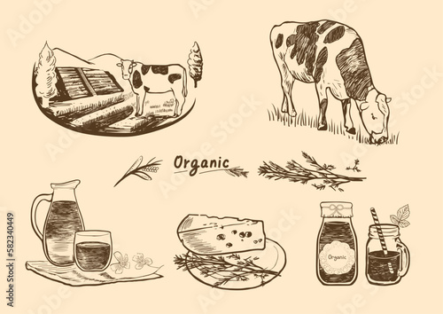 organic cow farm milk