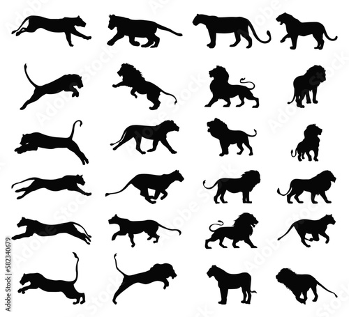 Set lion silhouette vector illustration.