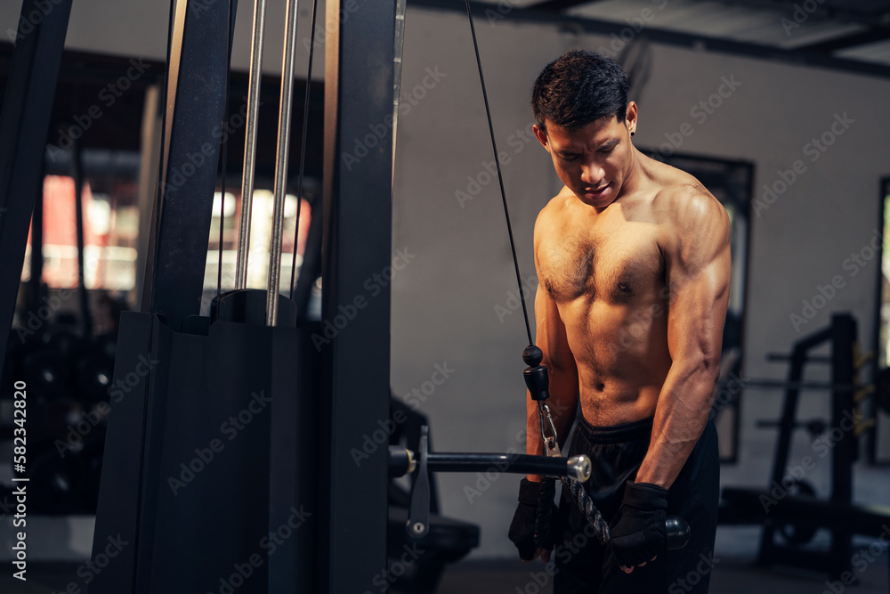 Asian man athletic weight training triceps muscles workout in fitness gym. Weight training exercise in concept of health and wellness. Bodybuilder shirtless workout at gym. Asian man athletic weight training triceps muscles workout in fitness gym. Weight training exercise in concept of health and wellness. Bodybuilder shirtless workout at gym.