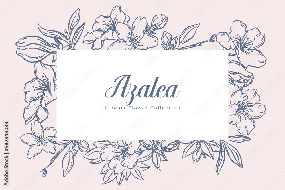 Set of Beautiful Azalea Flower Line Art Illustration