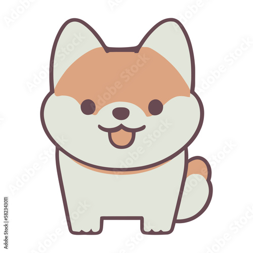 cute shiba inu domestic dog