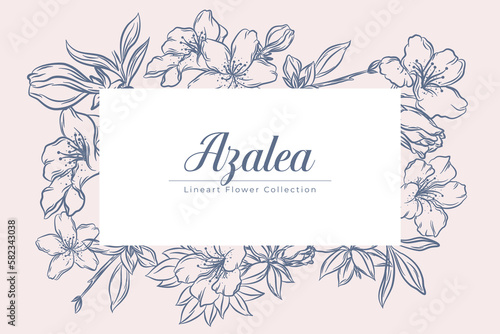 Tableau sur toile Set of Beautiful Azalea Flower Line Art Illustration