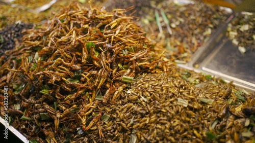 Fried insects , crickets, silkworms, grasshoppers, water bugs and other various insects street food in a local market seen around in Bangkok, Thailand. photo