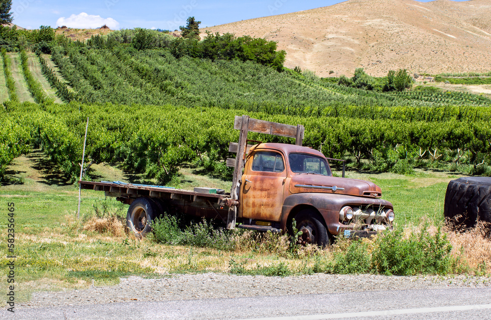 Old Truck in an orchard