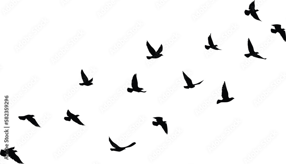 Flying birds silhouettes pattern wallpaper. PNG transparent. isolated bird flying. tattoo design. template for card, package, and wallpaper.