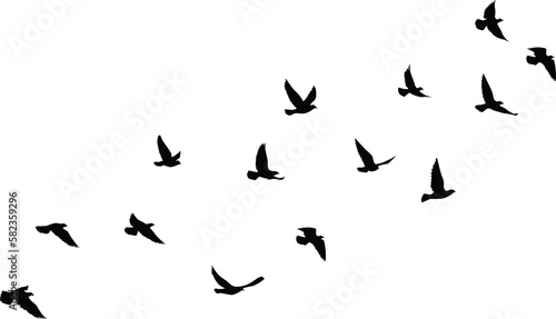 Flying birds silhouettes pattern wallpaper. PNG transparent. isolated bird flying. tattoo design. template for card  package  and wallpaper.