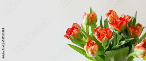 Fototapeta Naklejka Na Ścianę i Meble -  Orange-red tulip flowers bouquet on white background