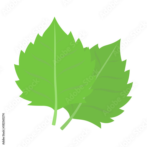 大葉（青紫蘇）。フラットなベクターイラスト。
Perilla leaves. Flat designed vector illustration. photo