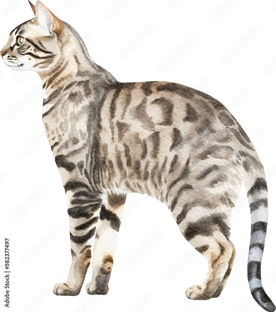 Fototapeta premium Bengal cat breed illustration created with Generative AI technology