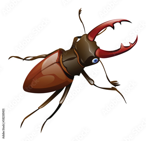 Cute stag beetle (Lucanus cervus) cartoon illustration isolated on white background