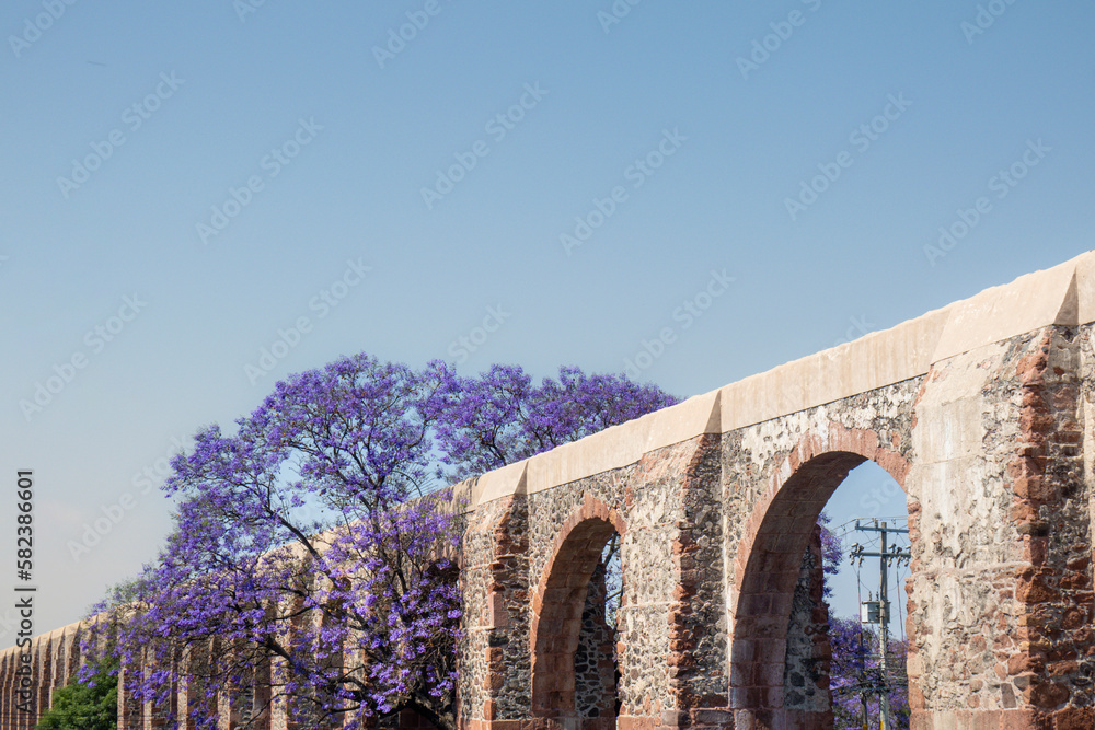 Obraz premium Queretaro Mexico aqueduct with jacaranda tree and purple flowers