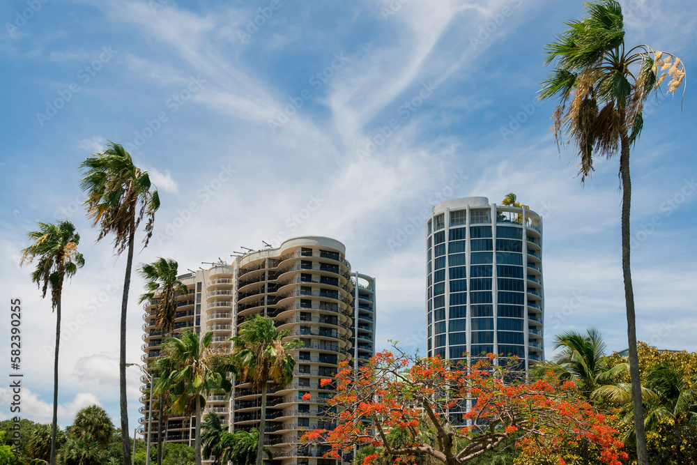 Flame tree among palm trees at front of condominium buildings view in Miami, FL. There is a beige building on left with balconies near the round building on the right with roof deck and glass walls.