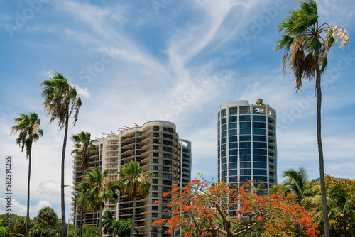 Flame tree among palm trees at front of condominium buildings view in Miami, FL. There is a beige building on left with balconies near the round building on the right with roof deck and glass walls. © Jason