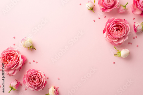 Fototapeta Naklejka Na Ścianę i Meble -  8-march concept. Top view photo of pink peony roses and sprinkles on isolated pastel pink background with blank space