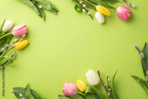 Woman's Day concept. Top view photo of floral decorations pussy willow branches and colorful tulips on isolated light green background with copyspace
