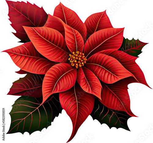 poinsettia transparent background - Generative AI