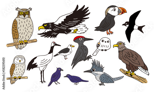 北海道にいる鳥たちのおもしろい手描きイラスト