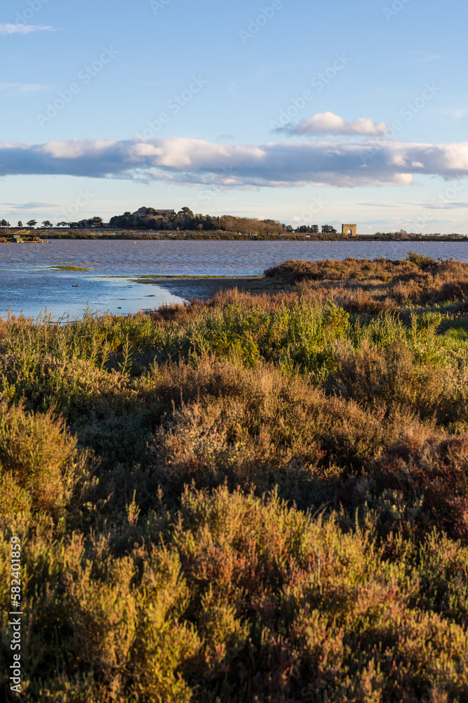 Presqu'île et cathédrale de Maguelone depuis l'Esclavon Presqu'île et cathédrale de Maguelone depuis l'Esclavon