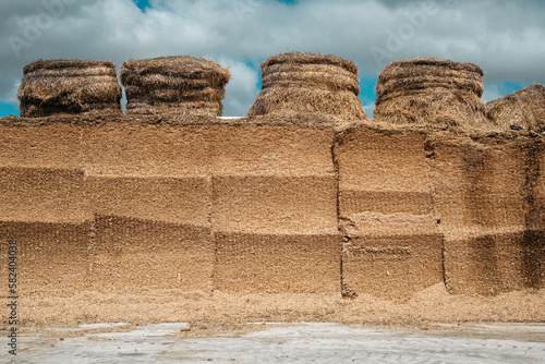 Harvesting silage on the farm, storing fodder for cows, hay bales on the sky background photo