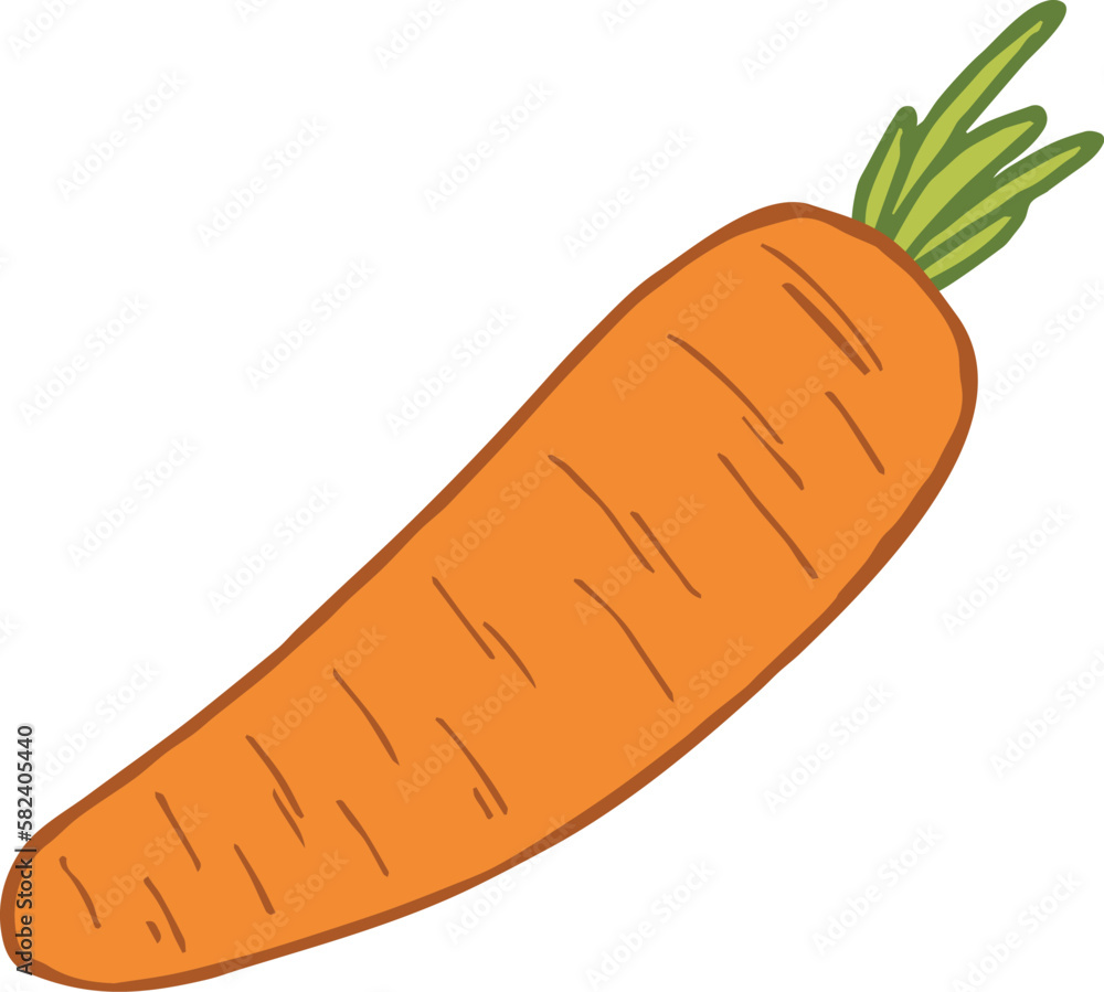 Big carrot on white background. Vector image. Big carrot on white background. Vector image.