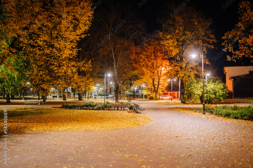A Night in the Park. Late Autumn Night in the Park. Wood Benches and Park Alley. Horizontal Photography. Central Europe
